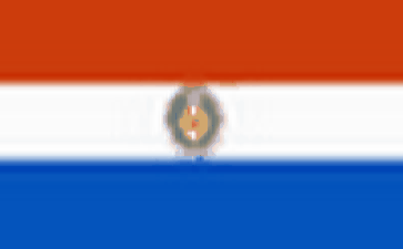 paraguay Online phone number